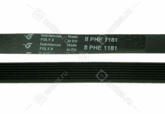 Ремень 1181 H8 стиральной машины 